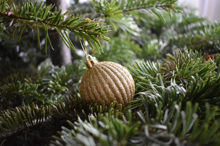 How Christmas Ornaments Symbolize Gratitude from Thanksgiving to Friendsgiving