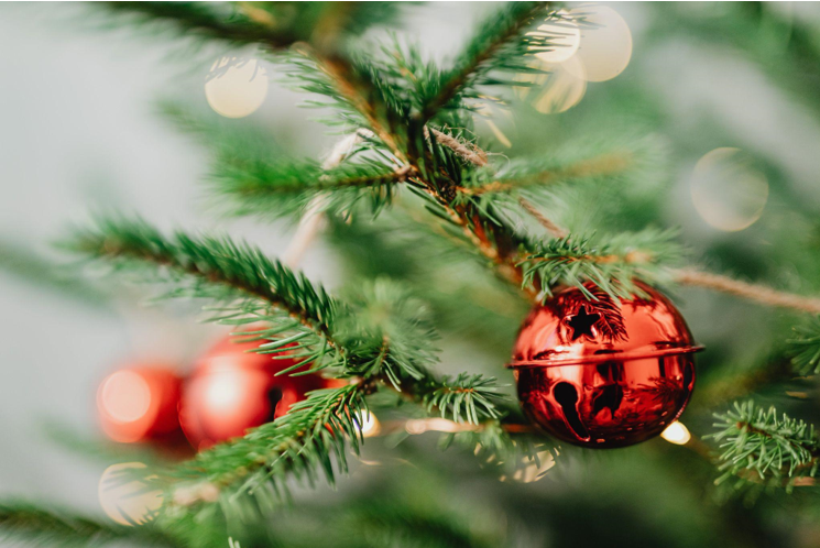 Christmas Trees Essentials - Essentials For Christmas